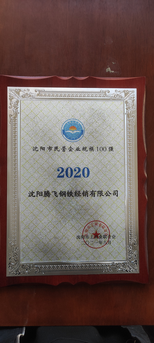 2020年沈陽市民營企業規模100強